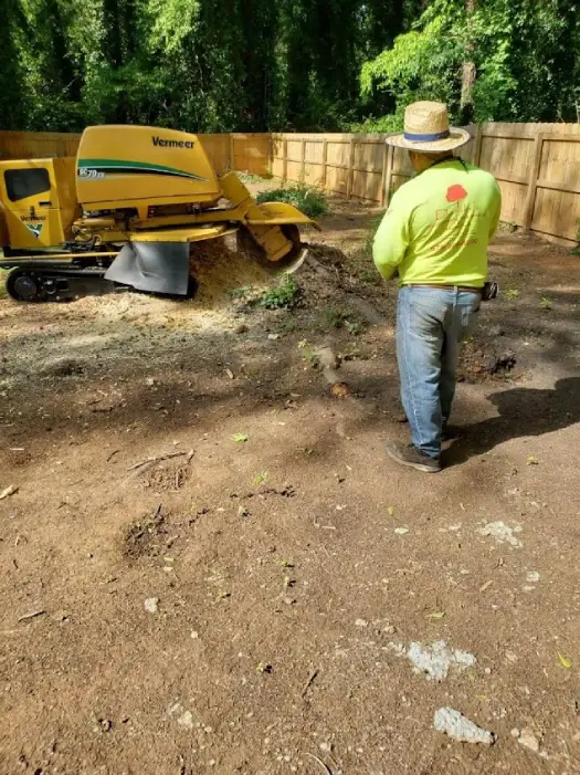 Professional Tree Service