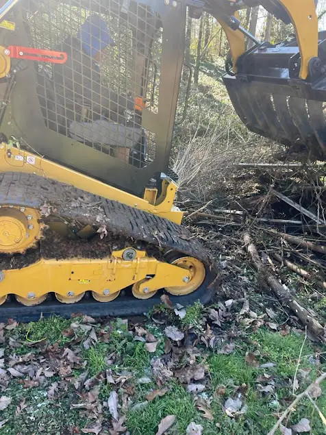 Reliable Tree Service