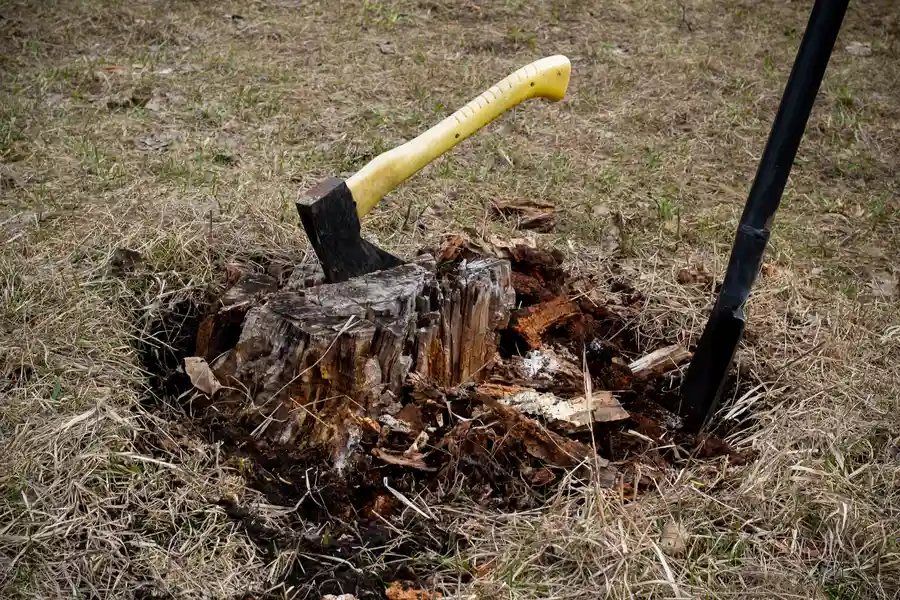 Tree Stump Removal For Improved Lawn Functionality Austell, GA Tree Stump Removal For Improved Lawn Functionality Austell, GA